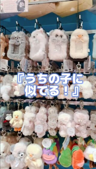 株）スモール・プラネット直営店 | 日常生活を